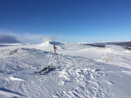 Hamrafjället